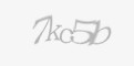 Захисний код