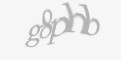 Захисний код