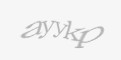 Захисний код