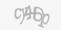 Захисний код