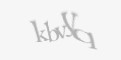 Захисний код