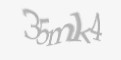 Захисний код