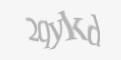 Захисний код