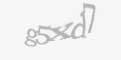 Захисний код