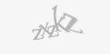 Захисний код