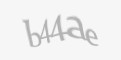 Захисний код